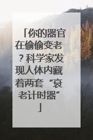 你的器官在偷偷变老？科学家发现人体内藏着两套“衰老计时器”
